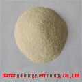 SELL Sorghum protein concentrate (feed grade) 